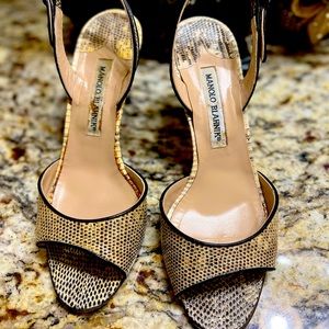 Manolo Blahnik Slingback Low Heel
